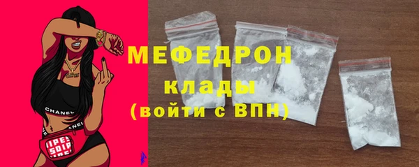 хмурый Ельня