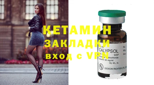 хмурый Ельня