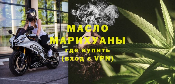 хмурый Ельня