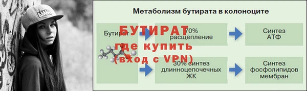 хмурый Ельня