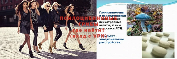 ALPHA PVP Дмитриев