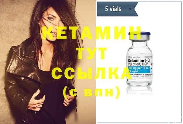 хмурый Ельня